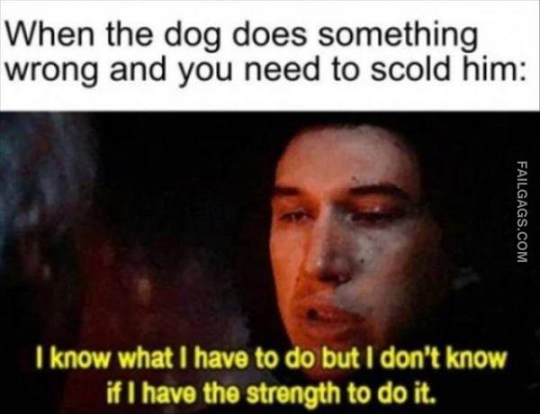 Random Funny Memes 3 8