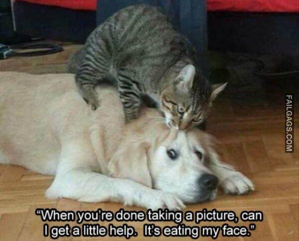 Random Funny Memes 4 4