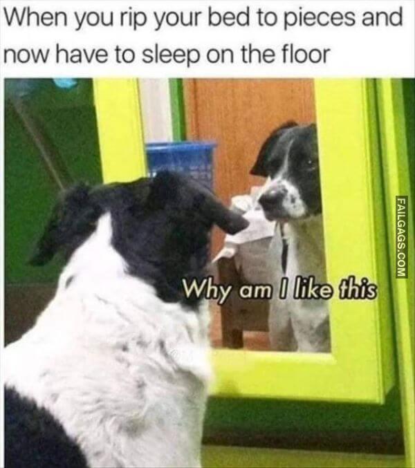 Random Funny Memes 4 6