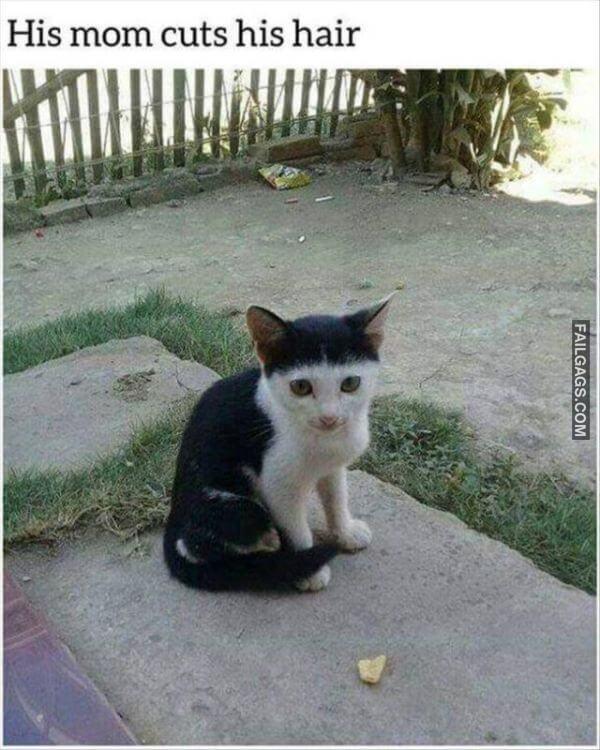 Random Funny Memes 5 10