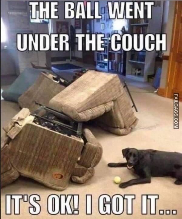 Random Funny Memes 5 9