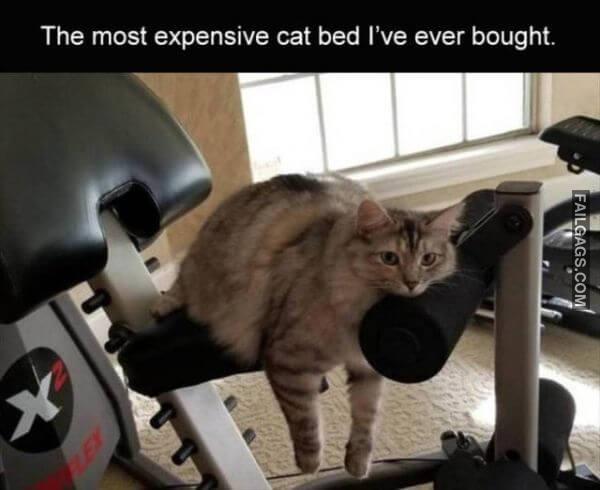 Random Funny Memes 6 3