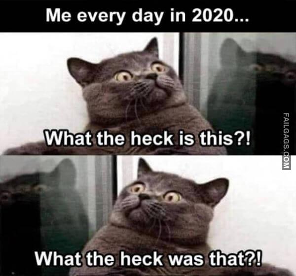 Random Funny Memes 6 6