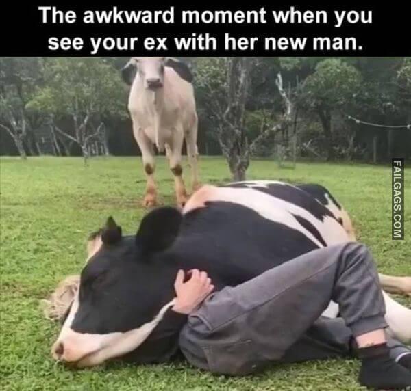 Random Funny Memes 7 8