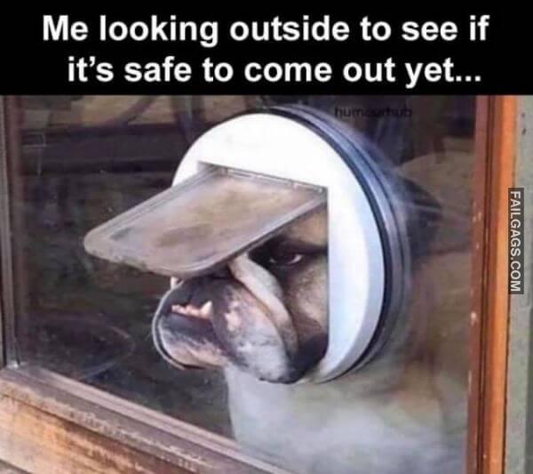 Random Funny Memes 9 9