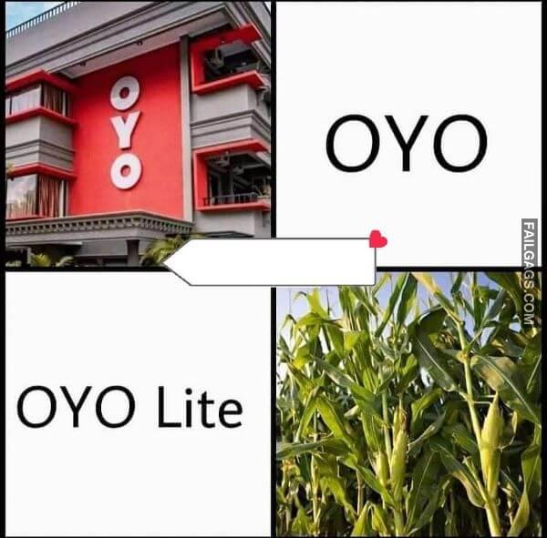 funny hindi adult memes 12