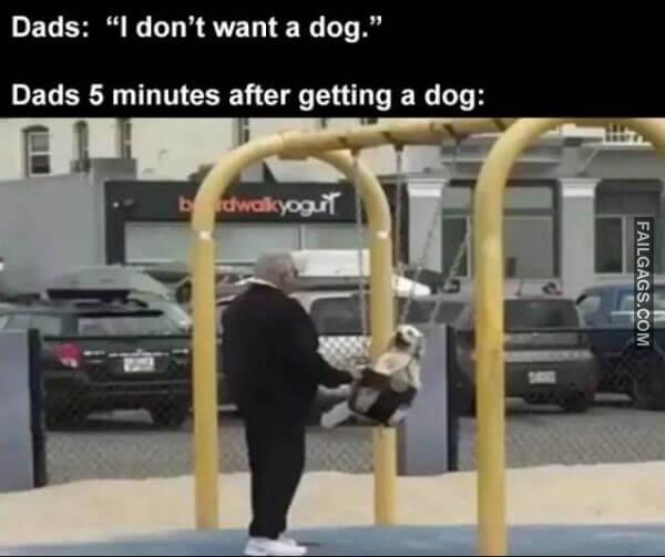 Random Funny Memes 11 5