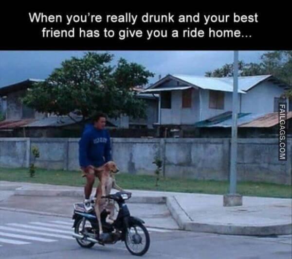 Random Funny Memes 12