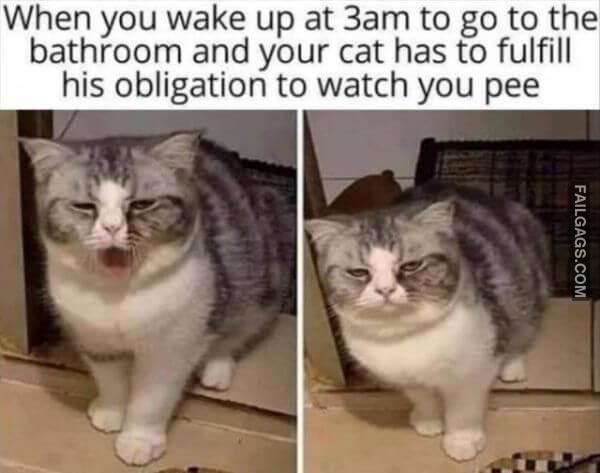 Random Funny Memes 13 4