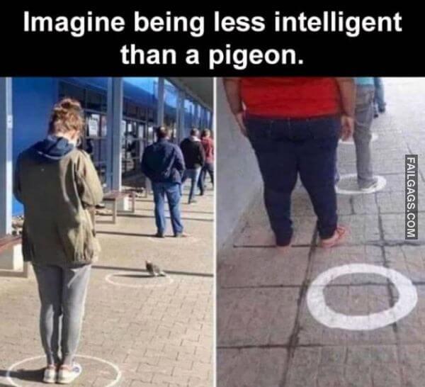 Random Funny Memes 13 7