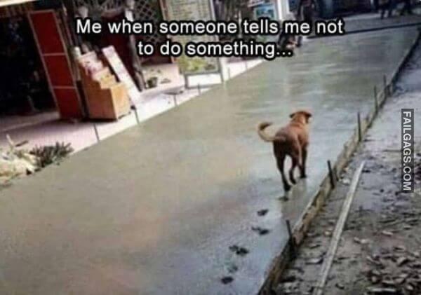 Random Funny Memes 14 5