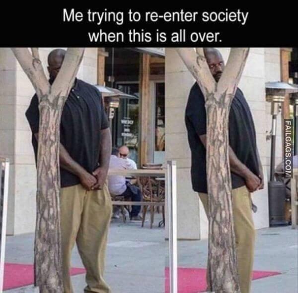 Random Funny Memes 15