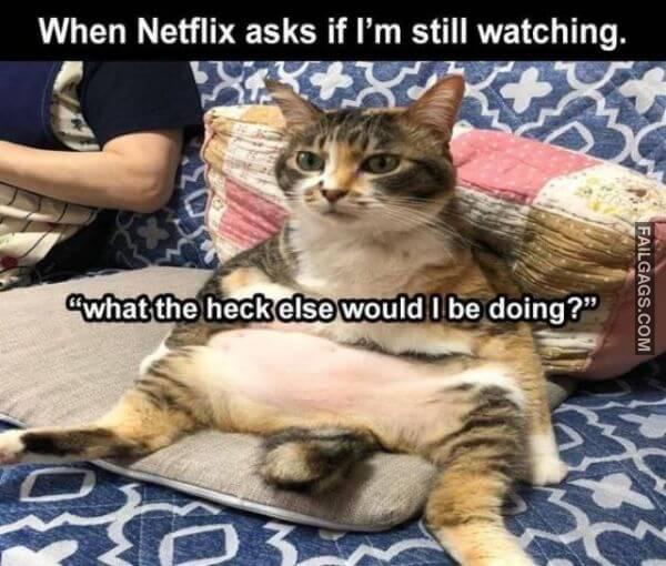 Random Funny Memes 16 1