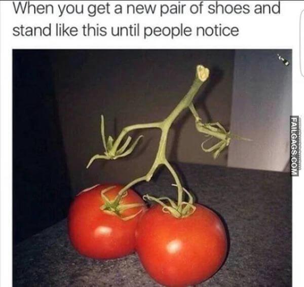 Random Funny Memes 3 6