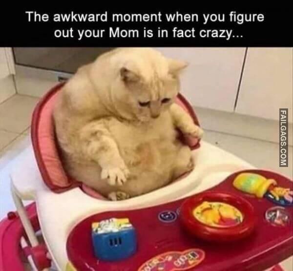 Random Funny Memes 3 7