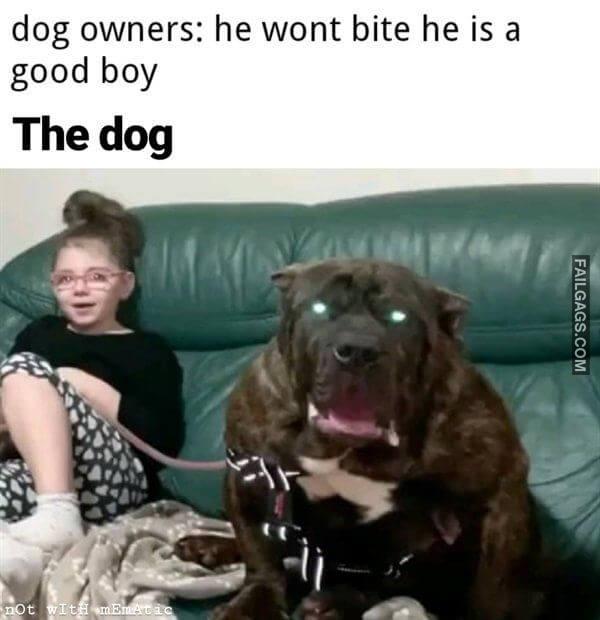 Random Funny Memes 5 9