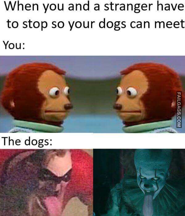 Random Funny Memes 7 8