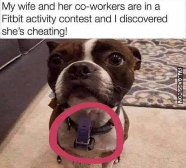 Random Funny Memes 8 4