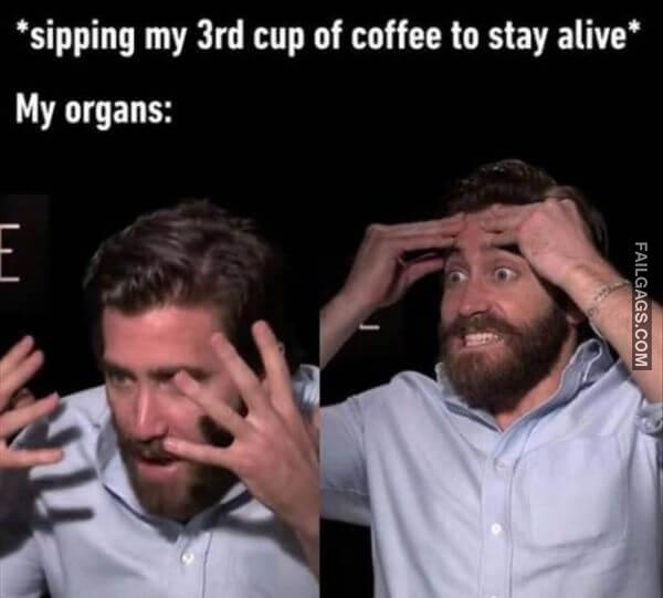 Random Funny Memes 8 6