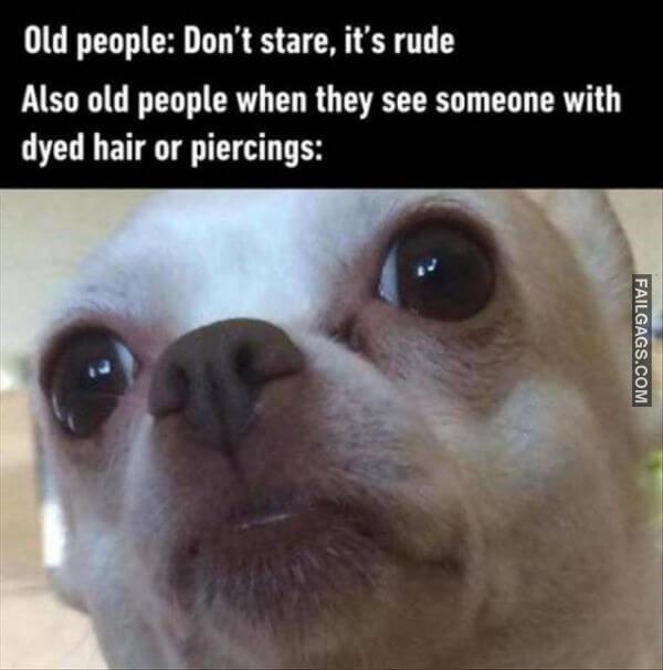 Random Funny Memes 9 6