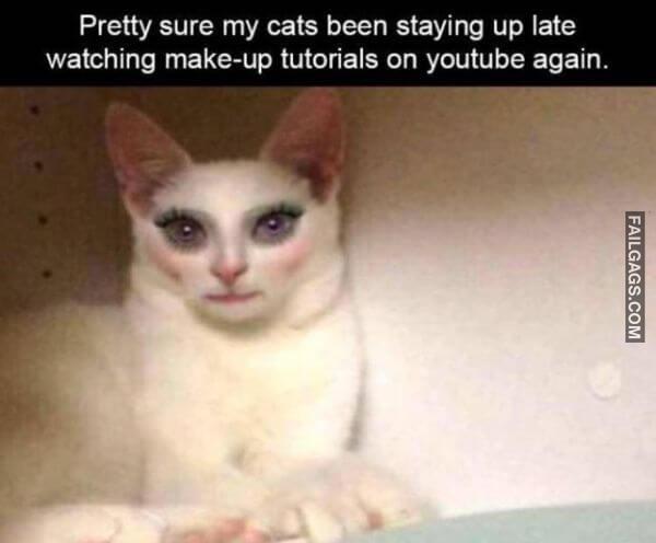 Random Funny Memes 10 2