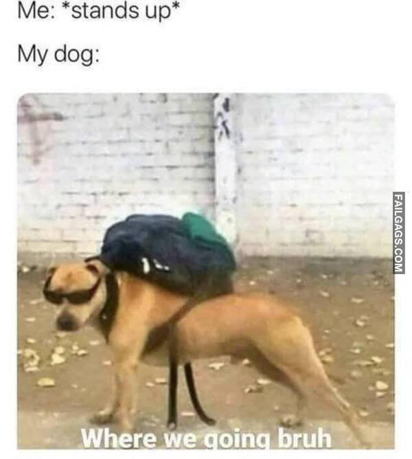 Random Funny Memes 10 3