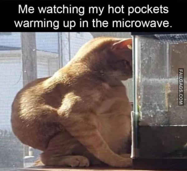 Random Funny Memes 10 7