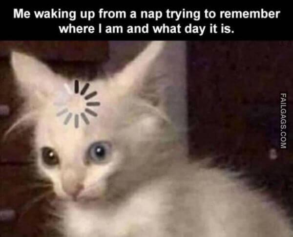 Random Funny Memes 12 1