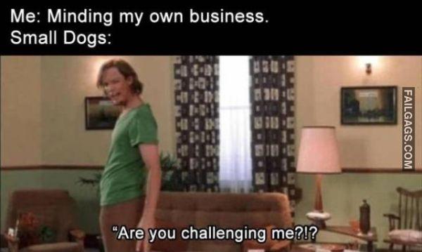 Random Funny Memes 13 8