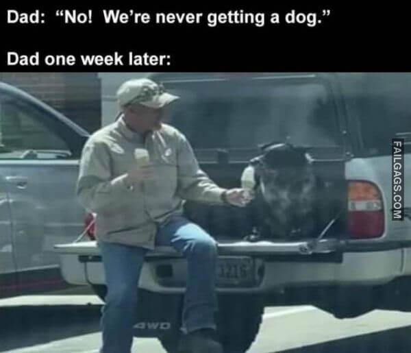 Random Funny Memes 14 5