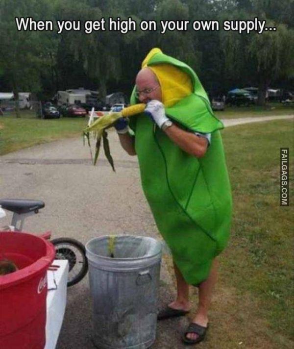 Random Funny Memes 15 4