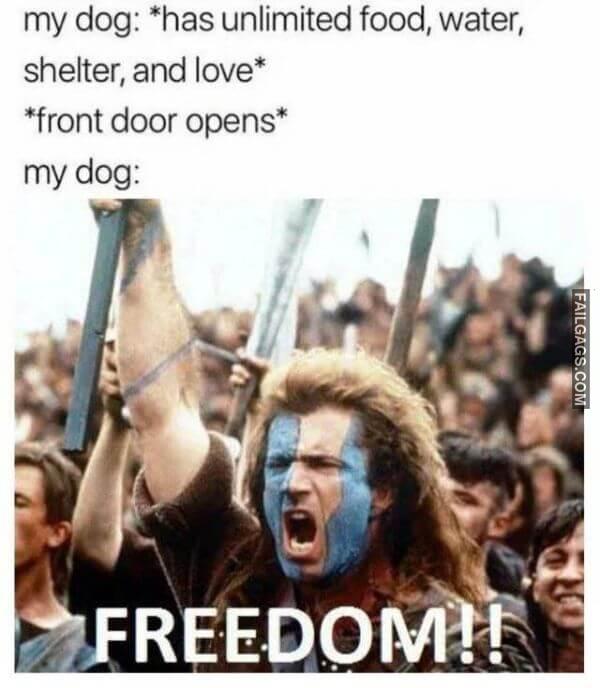 Random Funny Memes 16 1