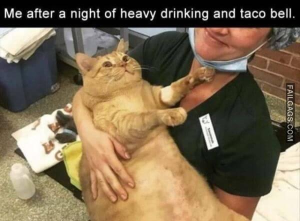 Random Funny Memes 18