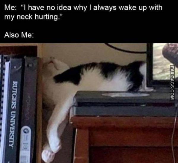 Random Funny Memes 2 8