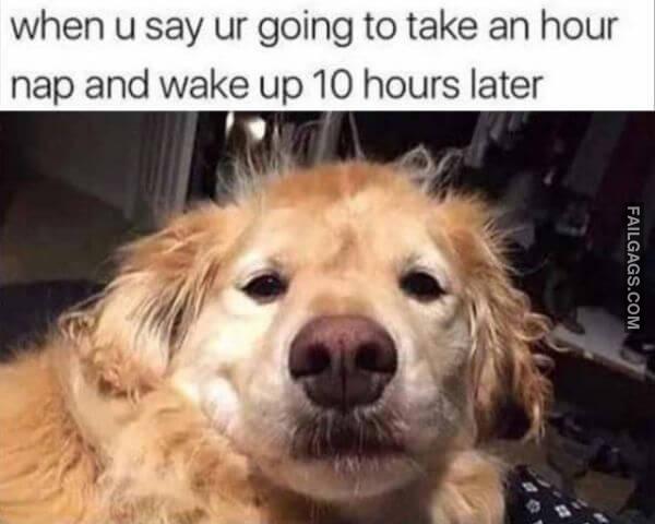 Random Funny Memes 3