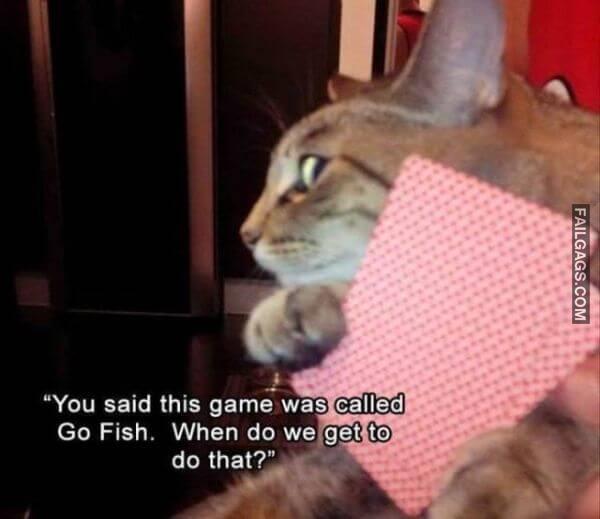 Random Funny Memes 4 5