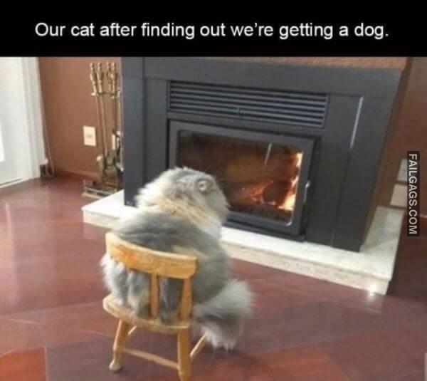 Random Funny Memes 6 4