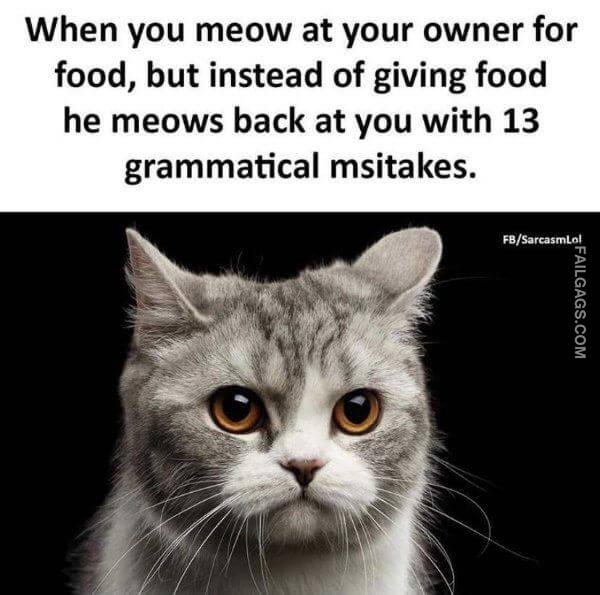 Random Funny Memes 6