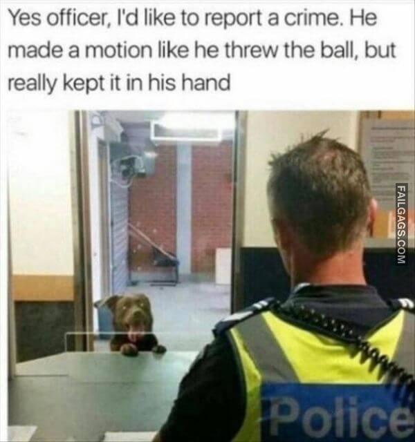 Random Funny Memes 7 6