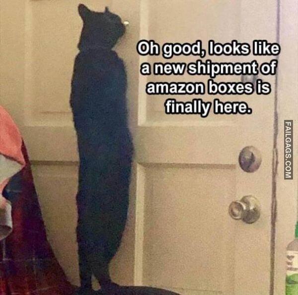 Random Funny Memes 8 7