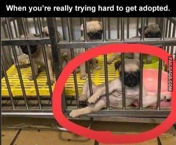 1614008346 t7geq41wjx