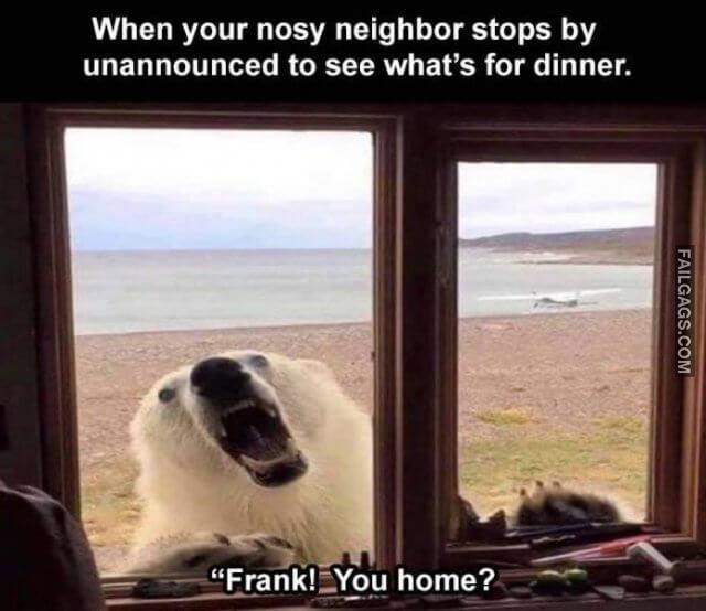 Random Funny Memes 1 2