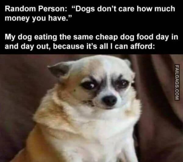 Random Funny Memes 1 3