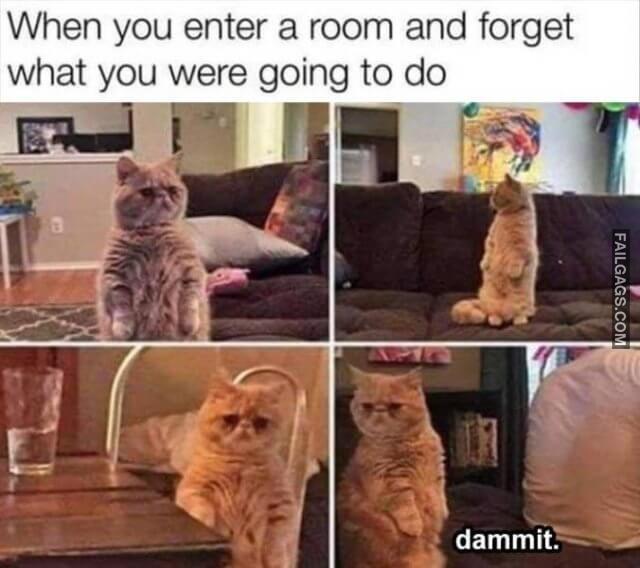 Random Funny Memes 11 2