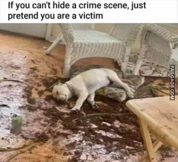 Random Funny Memes 14 1