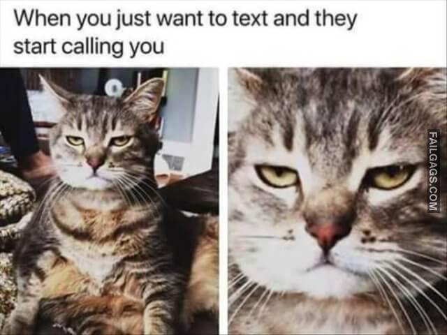 Random Funny Memes 14 2