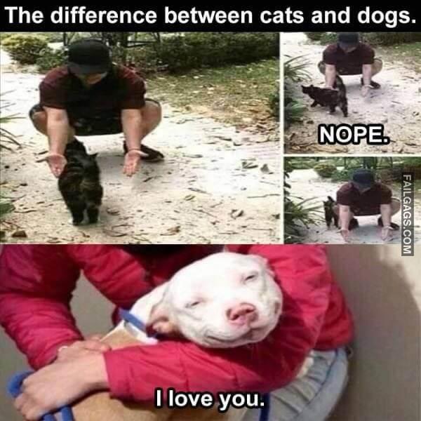 Random Funny Memes 14 3