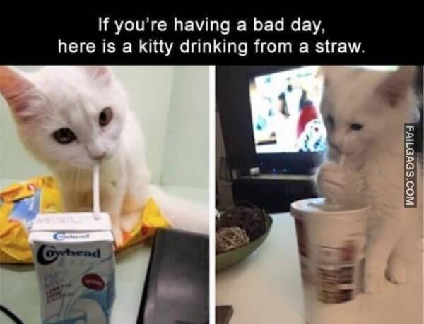 Random Funny Memes 15 1