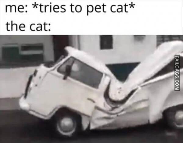 Random Funny Memes 3