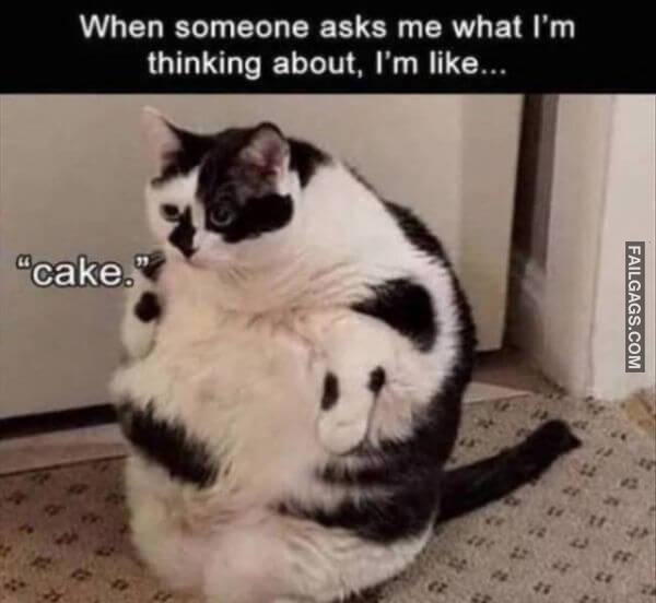 Random Funny Memes 9 1